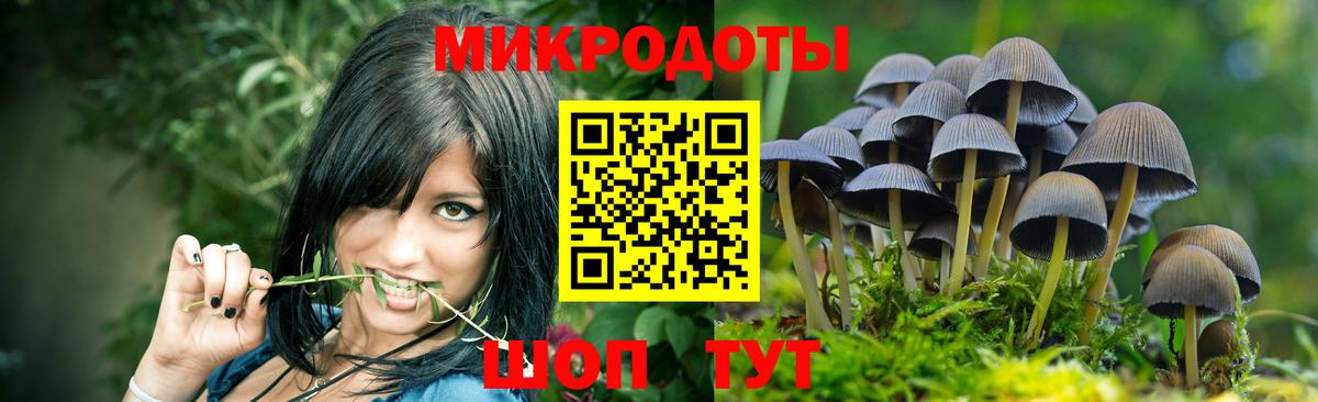 Гагарин  Псилоцибиновые грибы мухоморы  Вход с VPN 